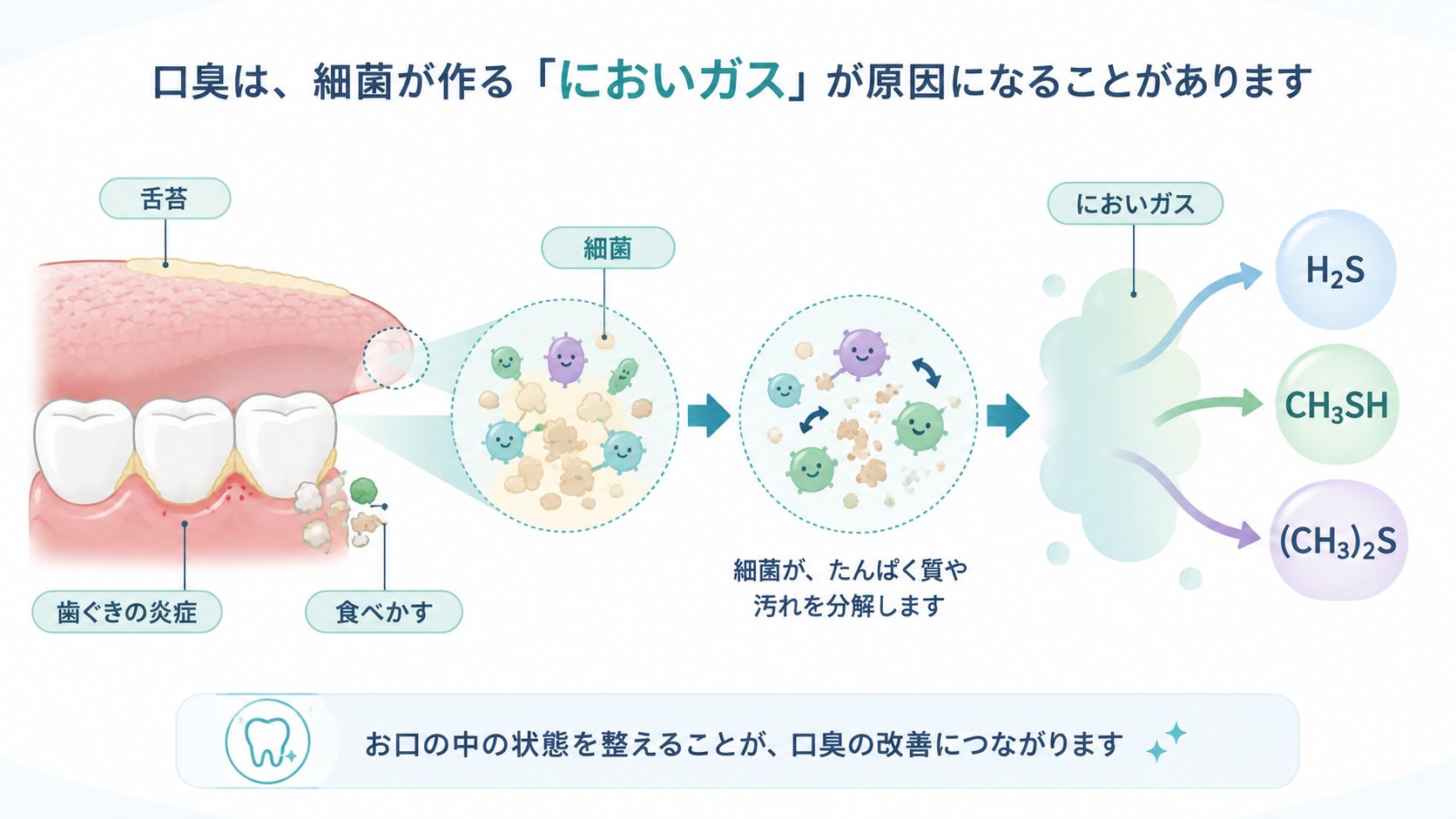 口臭の正体の模式図